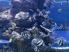 -成都浩海立方海洋公园