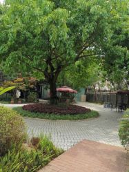 点击看大图 -莲生母婴月子中心(清水河公园店)