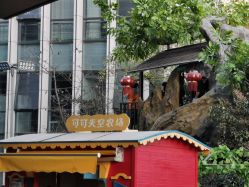 点击看大图 -可可天空农场(中大店)