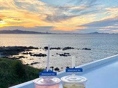 青梅绿茶-海岛日记(养马岛店)