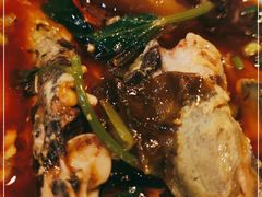 -玲泉黄腊丁生态鱼馆(雪松路店)