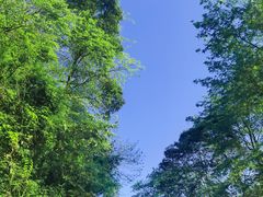 -青城山