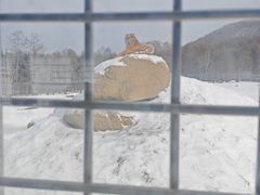 -横道河子东北虎林园