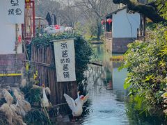 -西溪国家湿地公园