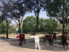 -新江湾城公园