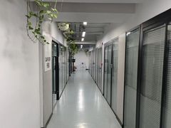 -引领英语·成人口语·雅思托福