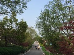 -南京市江宁方山