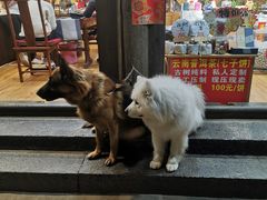 -88号小吃店·经典云南菜·地道纳西美食