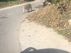 景点-西安秦岭野生动物园