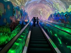 -成都浩海立方海洋公园