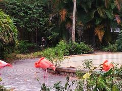 -广东茂名森林公园