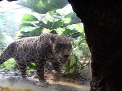 iphone_upload_pic-河川生态园