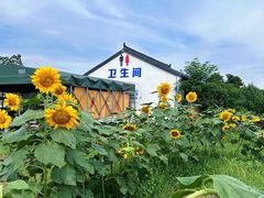 -四明湖