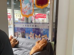 -芭比堂动物医院·心脏科·老年急重症·夜诊·吉雅分院