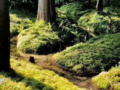 -成都市活水公园