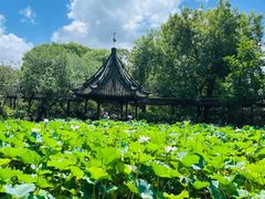 -上海醉白池公园