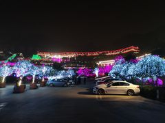 -枇杷园食为鲜火锅(南山店)