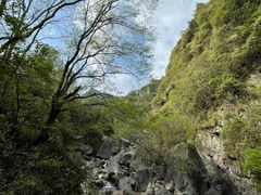 -黄山翡翠谷景区