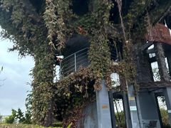 -芒洲湿地公园
