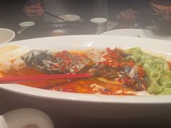 -凤凰湘语(浦东旗舰店)