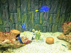 -北戴河圣蓝海洋公园