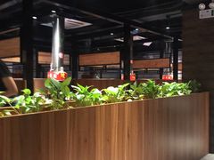 大堂-山之屋炭火烧肉·生啤畅饮(大朗万科中央公园店)