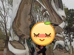 -莫子山公园