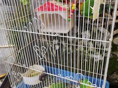-红鼎坊·老成都火锅(新南门店)