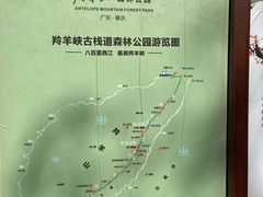 -羚羊峡古栈道森林公园