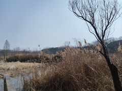 -昆山城市生态森林公园