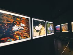 -罗红摄影艺术馆