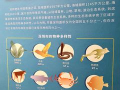 -深圳博物馆历史民俗馆