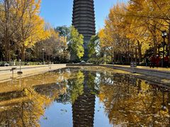 -玲珑塔公园