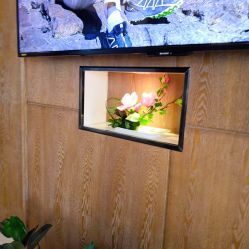 -北京米扬丽格医疗美容·联合丽格鼻整形中心