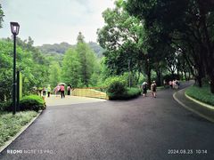 -云溪植物园