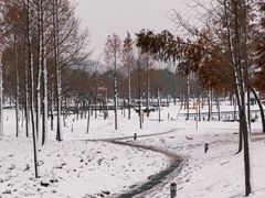 -北龙湖湿地公园