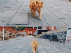 -大钟寺古钟博物馆