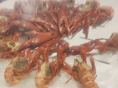 -红盔甲·小龙虾(人民广场店)