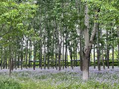 -北京奥林匹克公园
