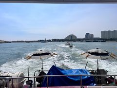 -日照世帆赛基地