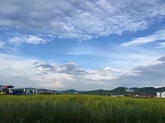 -张北坝上草原