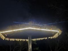 -林栖谷森林康养度假区