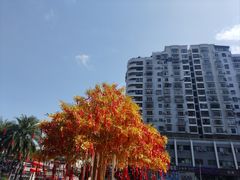 -友谊阳光城