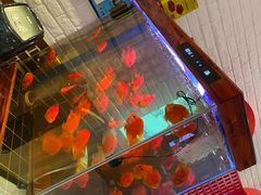 -东北人家铁锅炖(鞍山路店)
