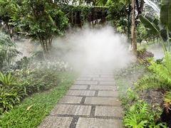 -东莞植物园