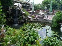 -漫渡庄绿岛花园•隐世庭园菜(滨湖店)