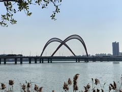 -艾溪湖湿地公园