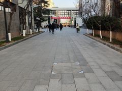 -北京师范大学附属中学