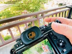 -台州府城(东湖)