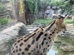 -杭州野生动物世界